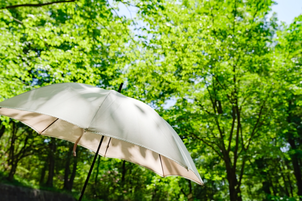 完全遮光日傘のおすすめブランド3選の画像