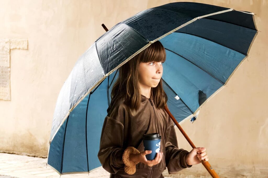 東京 傘 ベスト3