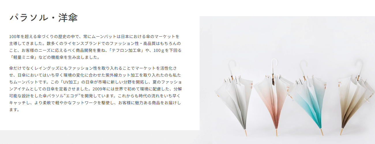 ムーンバット（HANWAY）の画像